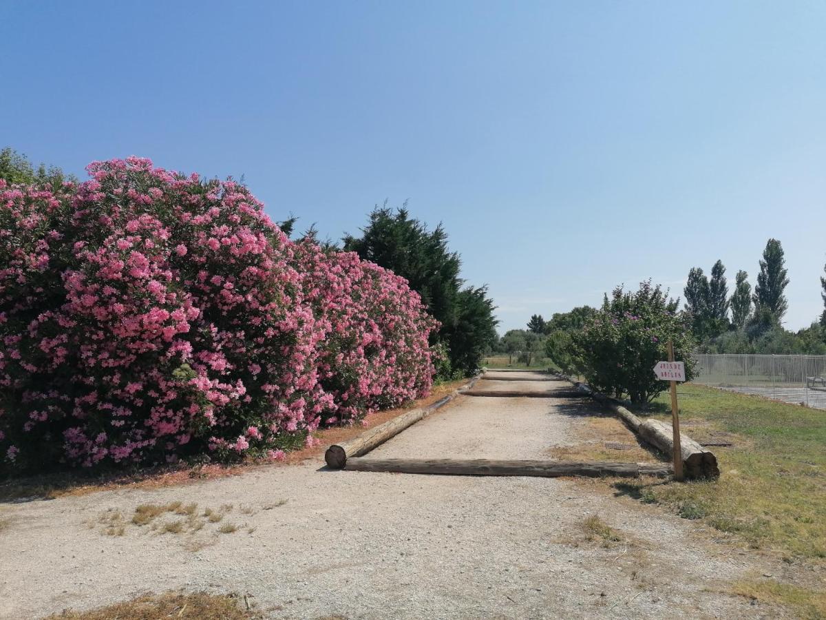 Les Gites Du Mas Canillac Châteaurenard Kültér fotó