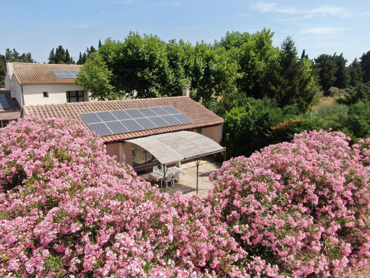 Les Gites Du Mas Canillac Châteaurenard Kültér fotó